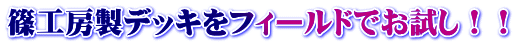 �H�[���f�b�L���t�B�[���h�ł������I�I